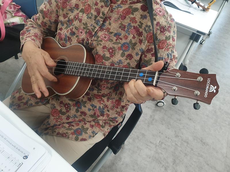 우쿨렐레 사진