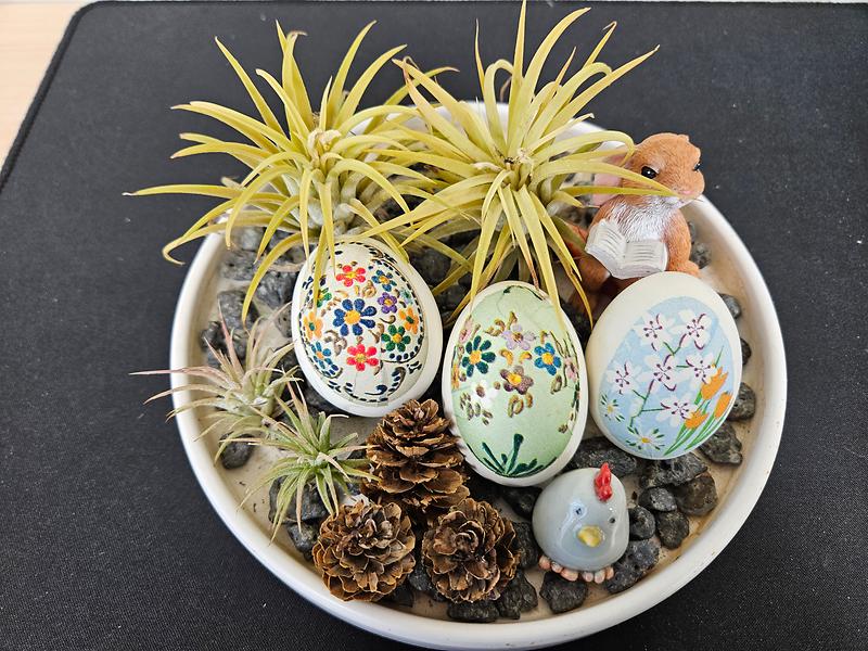 KakaoTalk_20250531_021944848_02.jpg 이미지